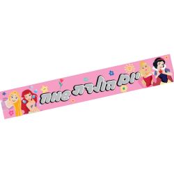 כרזת יום הולדת שמח- נסיכות