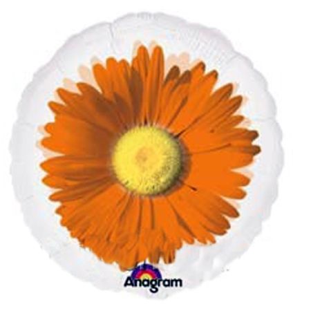 בלון מיילר 18-עגול חרצית כתומה