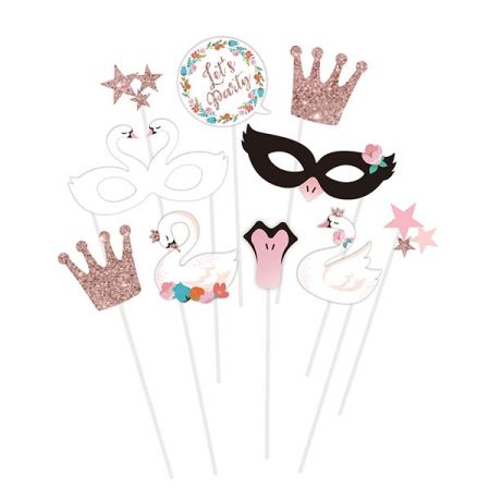 אביזרי צילום- ברבור